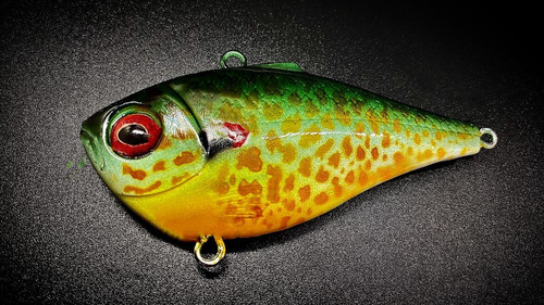PUMPKINSEED RIP RAP - Image 2