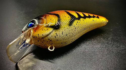 NATIVE CRAW - Image 4