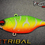 Thumbnail: FIRETRIBAL JAWBREAKER