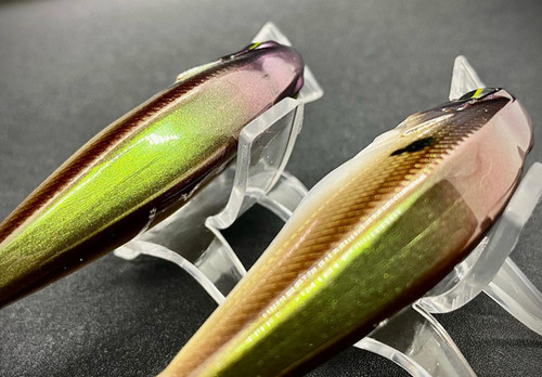 PRISIM SHAD - Image 2