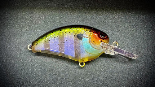 INDIGILL - SMALL JOHN MD 50 - Image 4