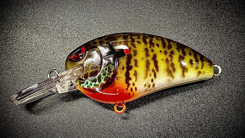 COLLINS GILL - SMALL JON 50 - Image 2