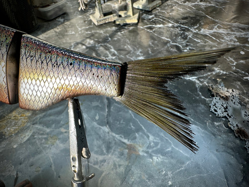 KGB SPRO CHAD SHAD - CLIQUE SHAD - Image 7