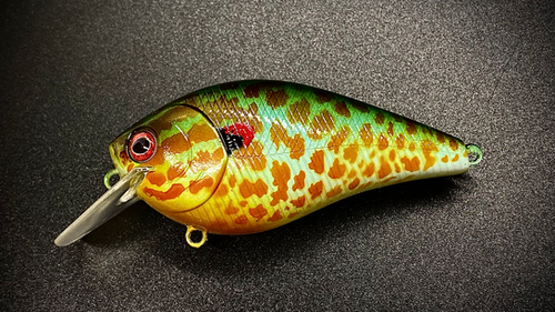 PUNKINSEED 2.5 - Image 3