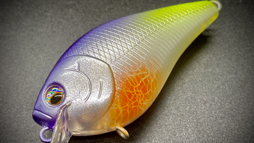 TABLE ROCK SHAD