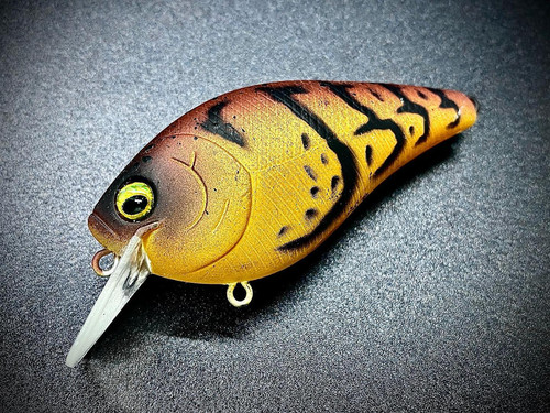 2.5 Spicy Mustard Craw