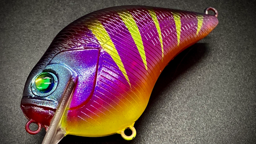 TROPICANA
