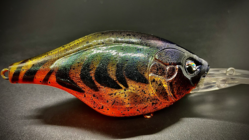 GRUNGE FISH - DEEP - Image 4
