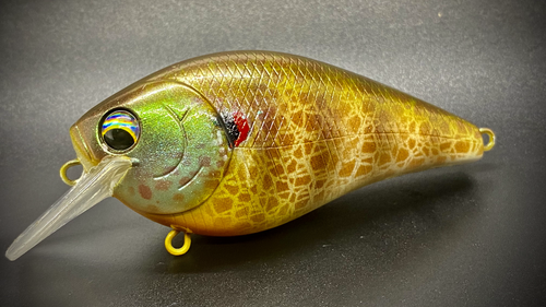 SPRING GILL - Image 2