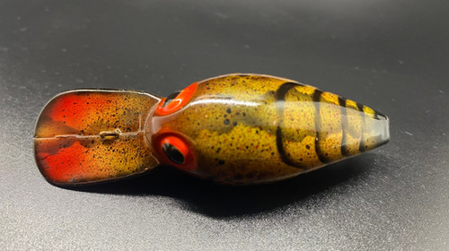 COLLINS CREATURE CRAW