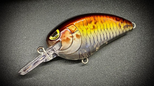 GOLDEN SHAD - SMALL JOHN MD50