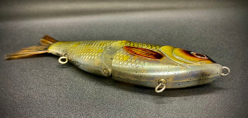 FLORIDA'S NATURAL GOLDEN SHINER - Image 4