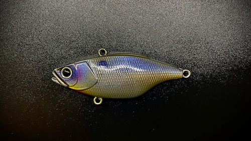 SUACEY SHAD JAWBREAKER - Image 3