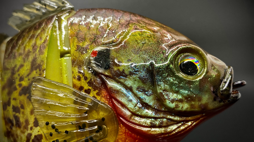 PBG aka "Personal Best Gill" #005 - Image 4