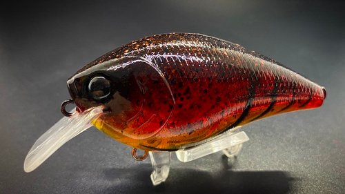 CRUSTY CRAW - Image 2