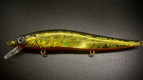 GOLDEN SHINER FLASH - Image 2