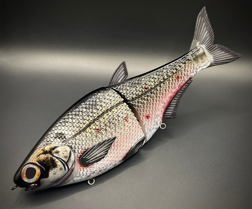 HIGH DEF HINKLE SHAD CLONE - GIZZARD SHAD HD - Image 2