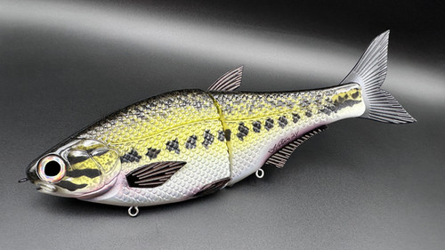 HINKLE SHAD CLONE - BABY BASS
