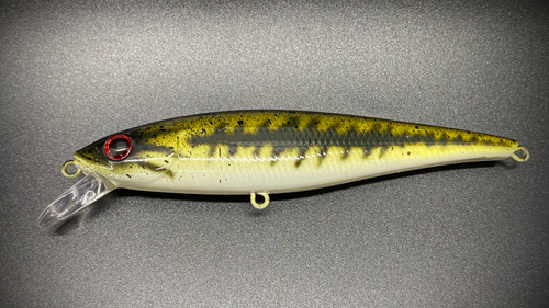 LITTLE LARGIE - Image 3