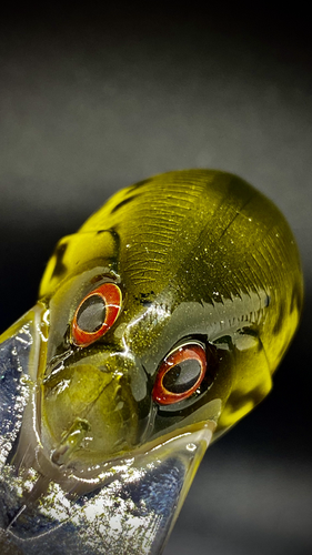 BABY BASS - Image 3