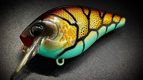 COPPER-COTTON CANDY CRAW