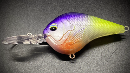 DT10 TABLE ROCK SHAD - Image 2