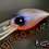 Thumbnail: DISCO WART