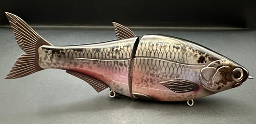 HINKLE SHAD JR. CLONE - GIZZARD SHAD - Image 3