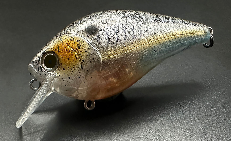 Clique Baits Custom Painted Lures