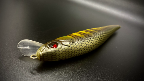 HYBRID GILL - Image 3