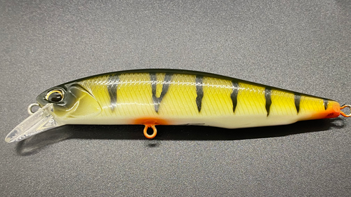 YELLOW PERCH 100SP - Image 2