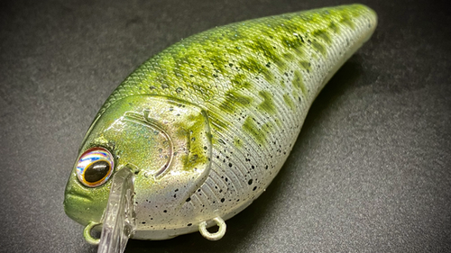 WHITE CRAPPIE