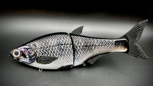 HINKLE SHAD CLONE - IndiGizz - Image 2