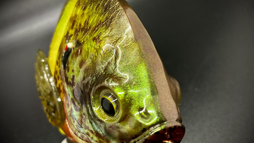 PBG aka "Personal Best Gill" #005 - Image 7