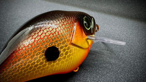 THE GIFT THAT KEEPS ON GIVING - Image 6