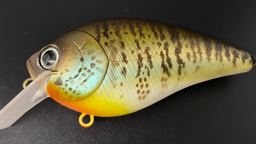 COLLINS GILL v2.0 - Image 3