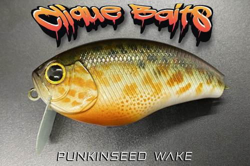 PUNKINSEED WAKE - Image 2