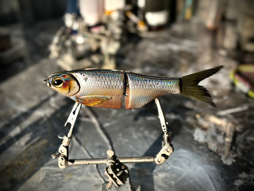 KGB SPRO CHAD SHAD - CLIQUE SHAD - Image 5