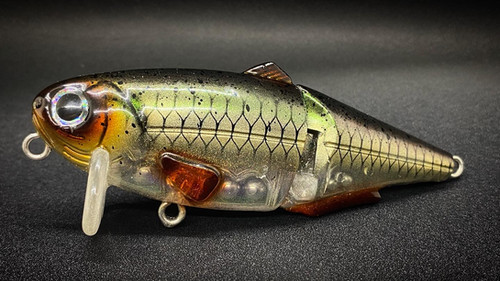 IAN'S WAKE (HURRICANE)