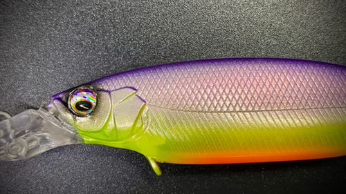 EGGPLANT MELON - ELBOW JERK - Image 4