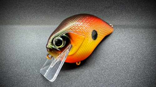 THE GIFT THAT KEEPS ON GIVING - Image 4