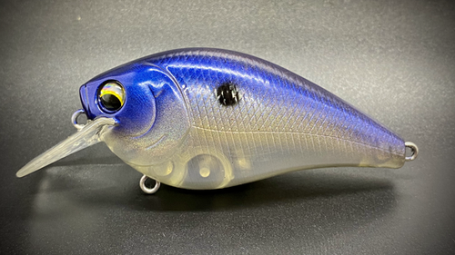 SULTRY SHAD - Image 2