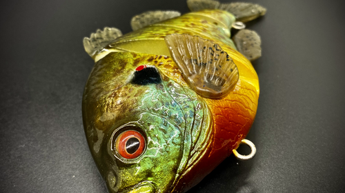 PBG aka "Personal Best Gill" #003 - Image 11