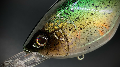 BLACK CRAPPIE - DEEP - Image 4