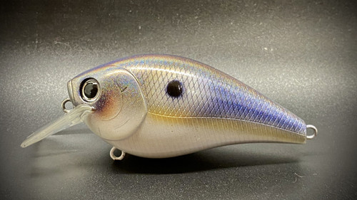 SHIMMER SHAD - Image 2