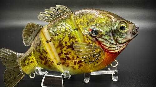 PBG aka "Personal Best Gill" #005 - Image 2