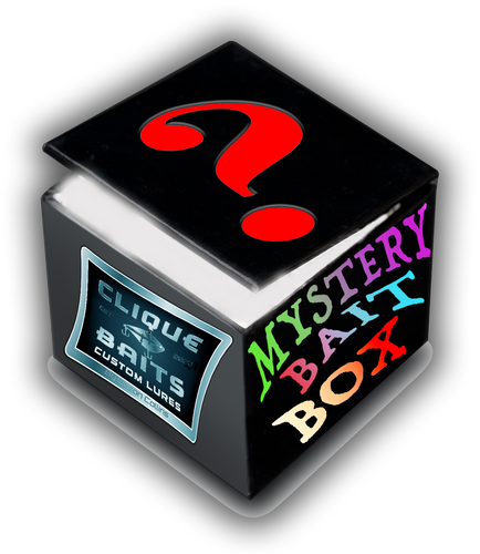 MYSTERY BAIT BOX