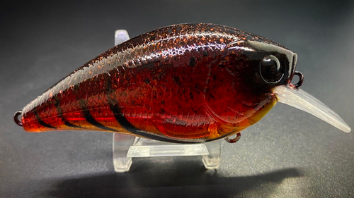 CRUSTY CRAW - Image 3