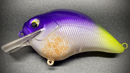 TABLE ROCK SHAD - Image 2