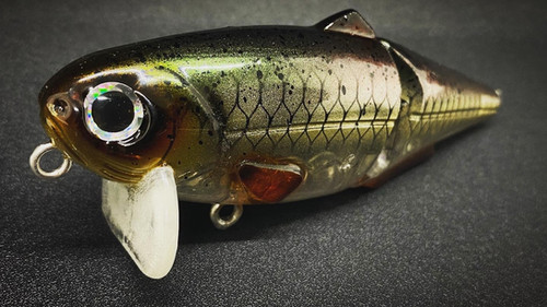 IAN'S WAKE (HURRICANE) - Image 2